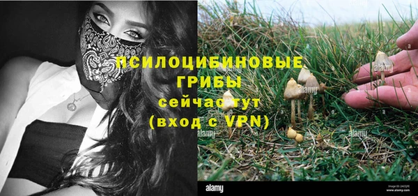 синтетический гашиш Богданович