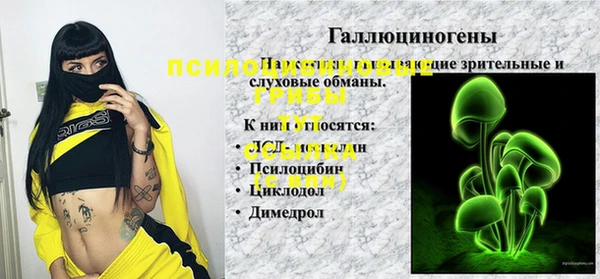 синтетический гашиш Богданович