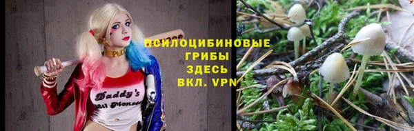 метадон Богородицк