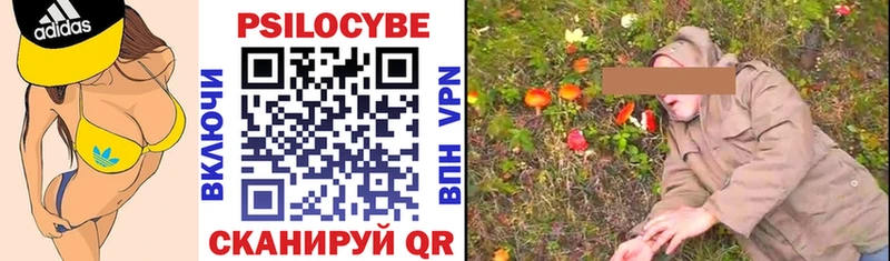 Псилоцибиновые грибы Psilocybe  Купить  Новохопёрск 